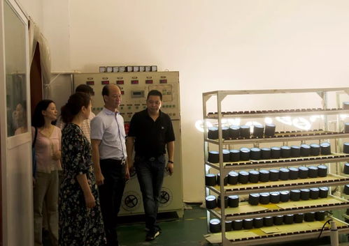 廣東省照明電器協(xié)會(huì)吳文鋒會(huì)長一行調(diào)研嘉美工業(yè)園，深化行業(yè)交流合作