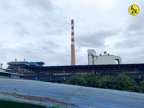 年?duì)I收309億，41年歷史的宜賓老廠搬遷背后的城市蝶變